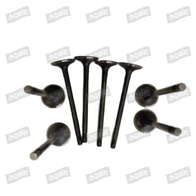 シャイリング T6 15/04- OE番号 1003014FD040 2007年自動車部品用の吸入バルブ