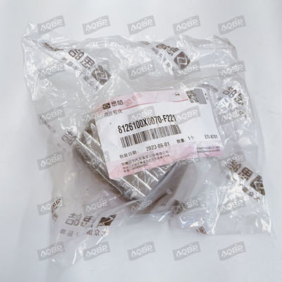 OE NO. 8126100x0070-f221 iEV7S SUV 17.10- JAC エネルギー用車両のためのスピード制御モジュール