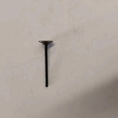 JAC REFINE 入力バルブ/グループ OE 1003202GA カーライト 性能向上のための番号